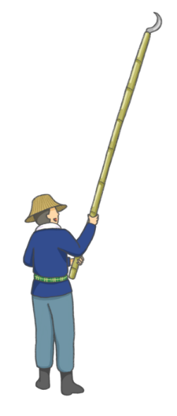 Coconut Collector