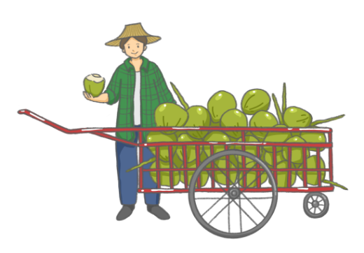 Home Coconut Seller 3