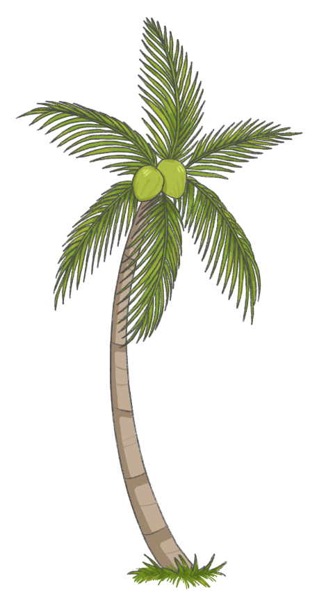 Coconut Tree Left