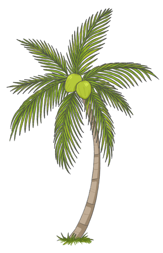 Coconut Tree Right