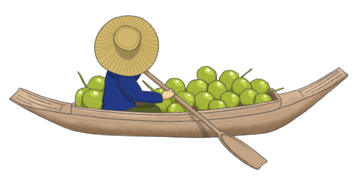 Coconut Boat