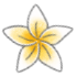 Home Flower Small 1