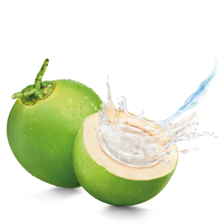 Home Coconut 2