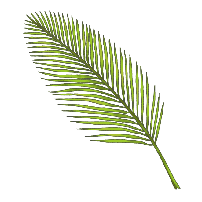 Home Leaf 1-2