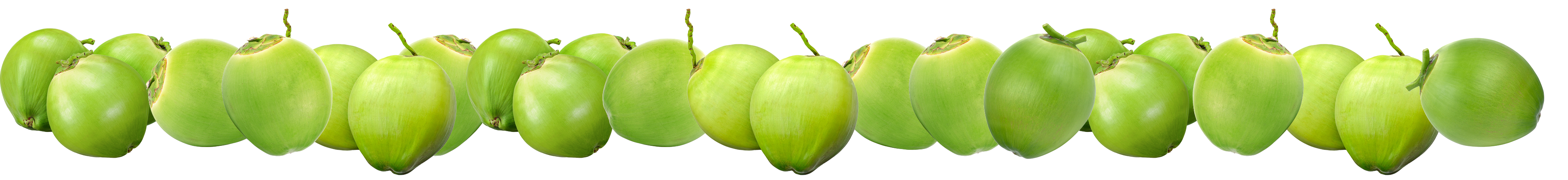 Coconuts